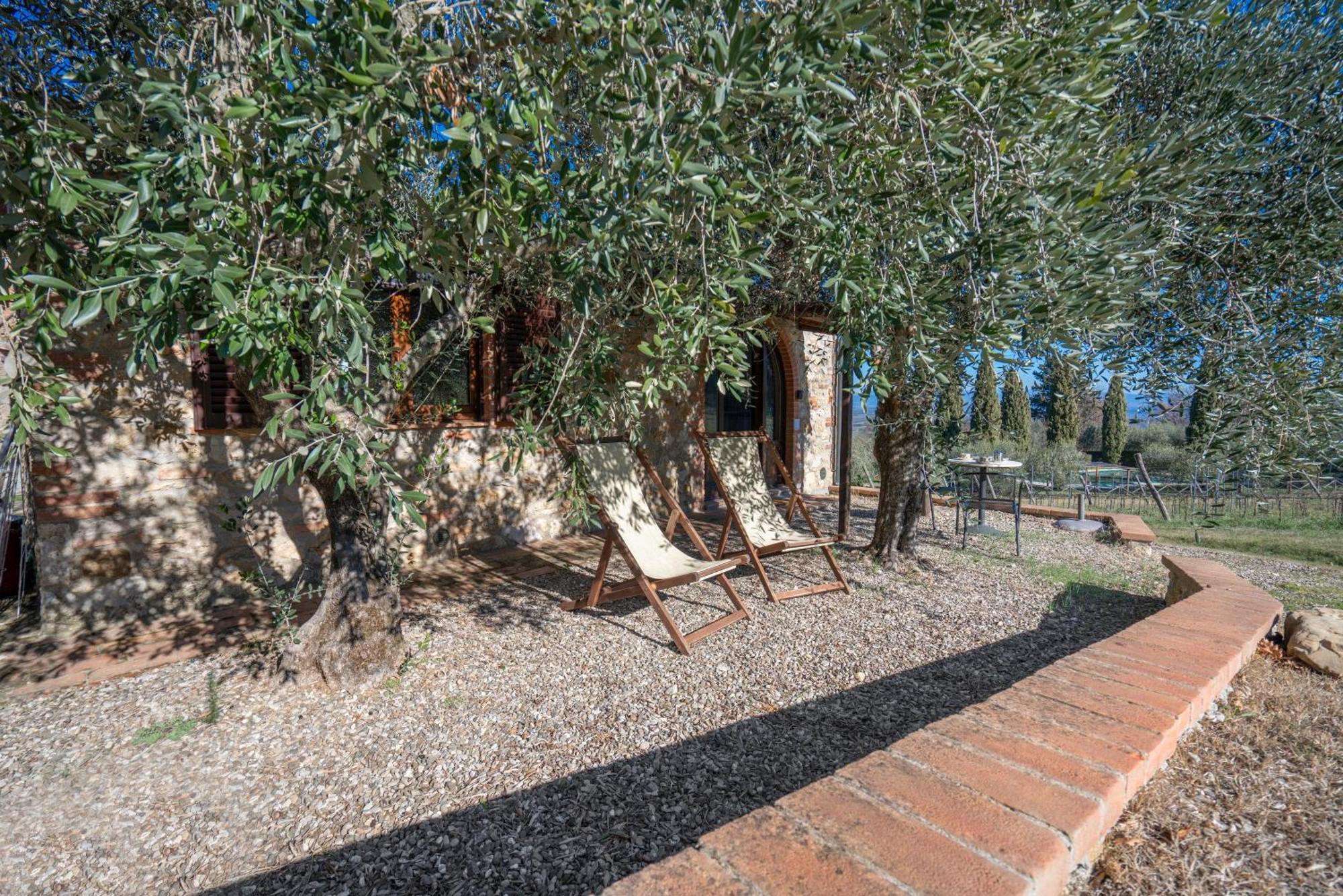 Agriturismo Agresto Apartments, Pool, Siena Hills Казоле-д'Ельса Екстер'єр фото